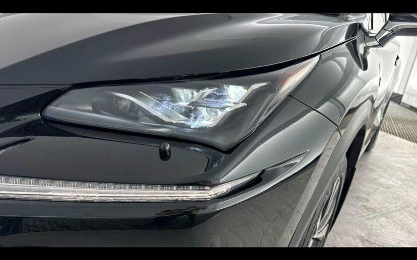 Lexus NX 2.5 300H F Sport Red #22