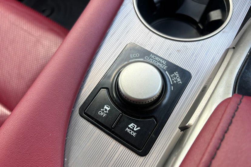 Lexus RX F Sport, Panoramic Roof Black #20