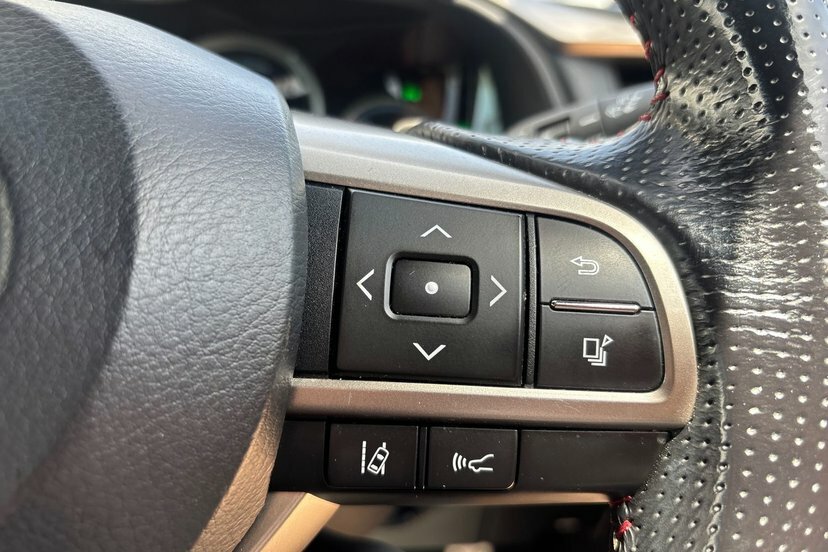 Lexus RX F Sport, Panoramic Roof Black #14