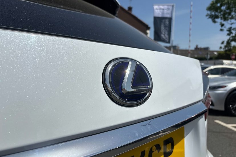 Lexus RX F Sport, Panoramic Roof Black #45