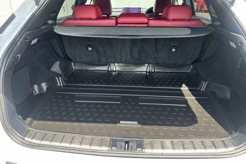 Lexus RX F Sport, Panoramic Roof Black #9