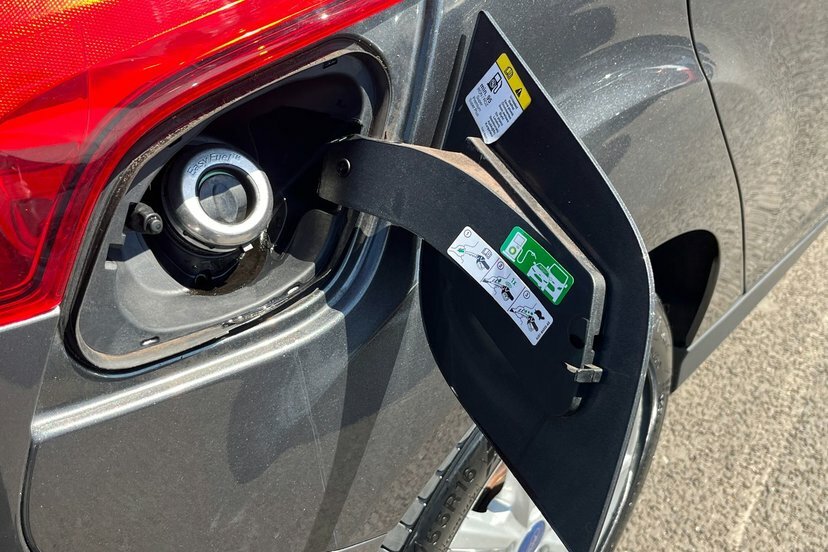 Ford Focus 1.5T Ecoboost St-line Euro 6 Ss  #16