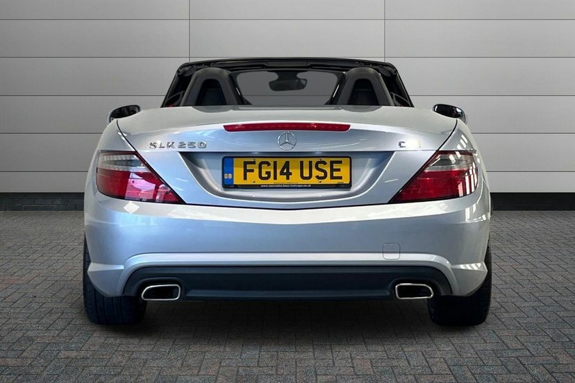 Mercedes-Benz SLK Slk250 Cdi Blueefficiency Silver #12
