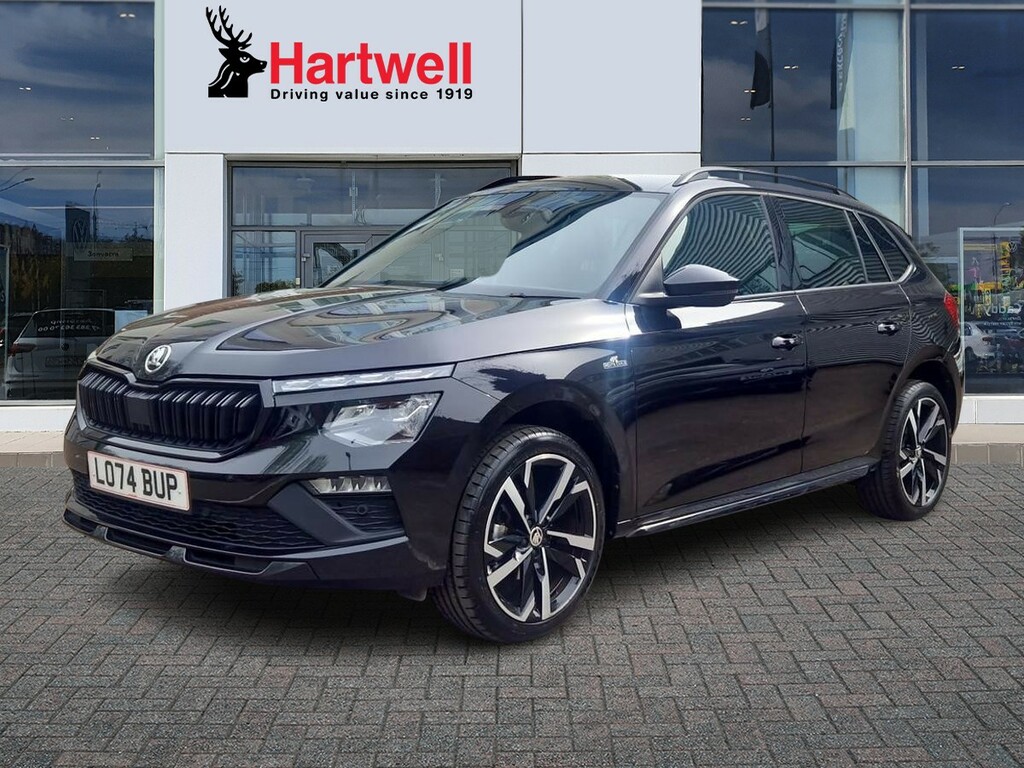 Skoda Kamiq Se Grey #7
