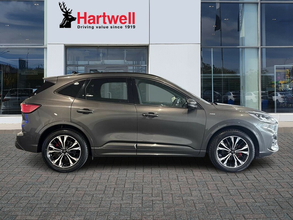 Ford Kuga 2.0 Ecoblue St-line X Suv Awd Euro #2
