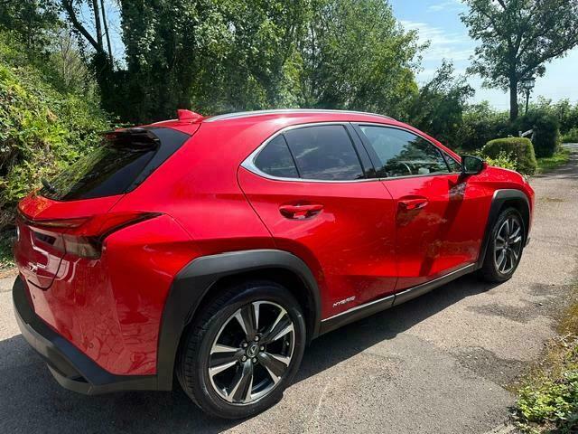 Lexus UX 250H 2.0 Takumi Cvt #7