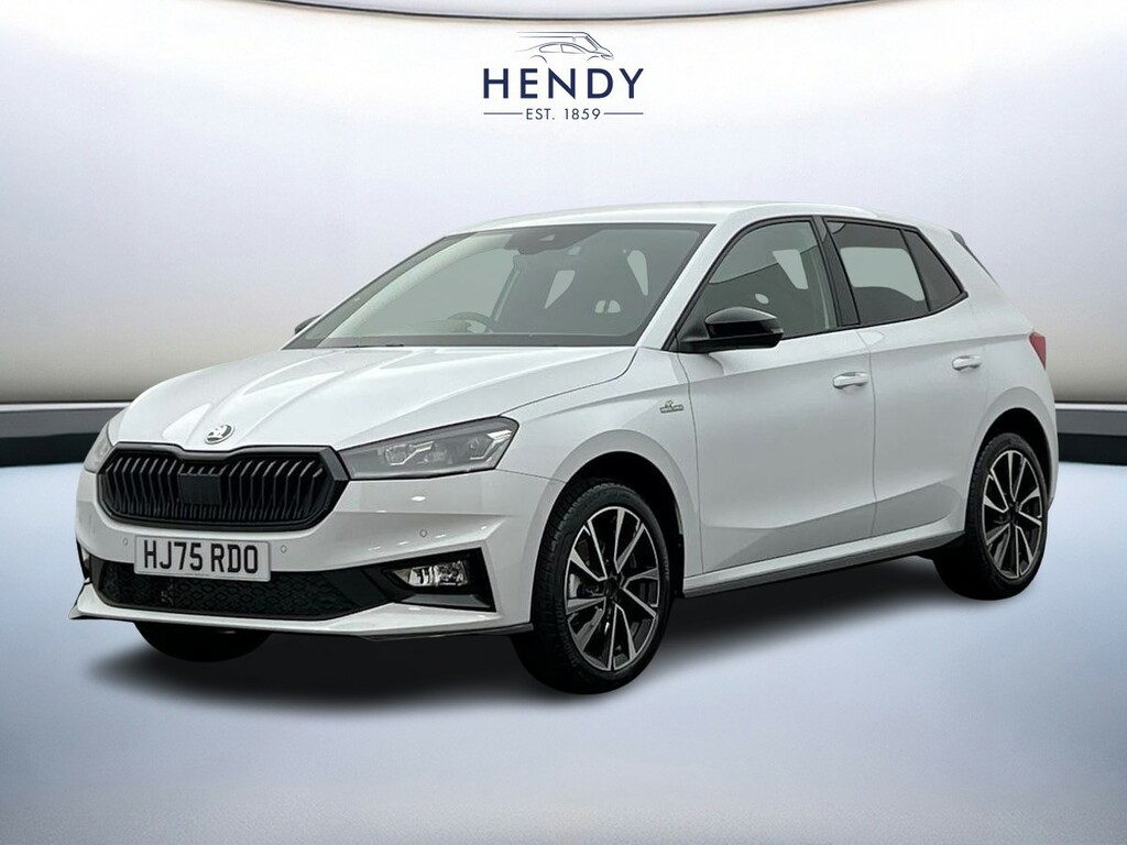 Skoda Fabia 1.0 Tsi Se Edition Silver #8