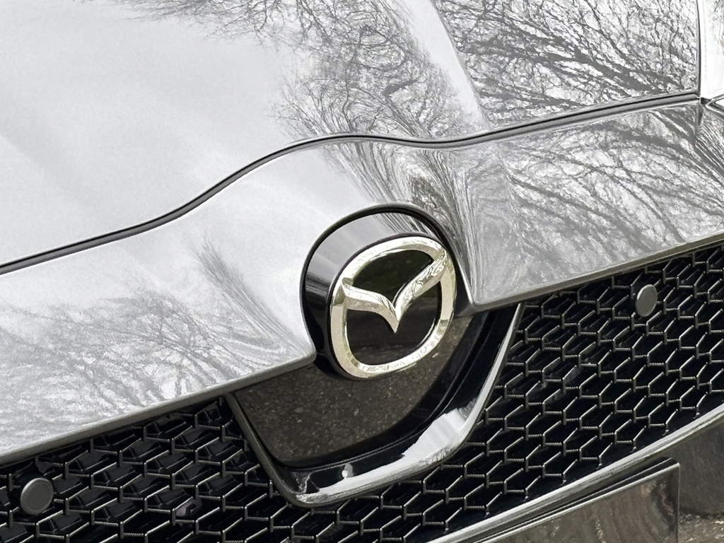 Mazda 2 1.5I Hybrid Homura Plus Cvt Grey #54