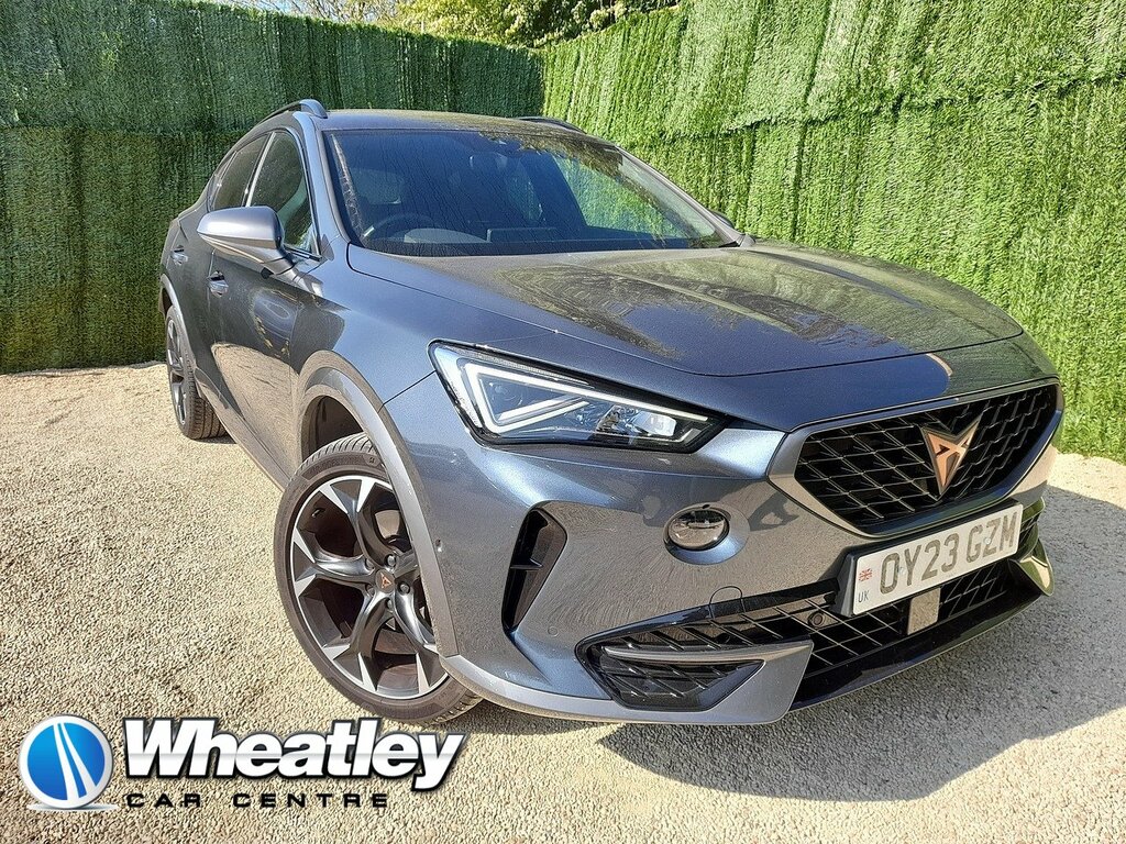 Cupra Formentor Tsi V2 Grey