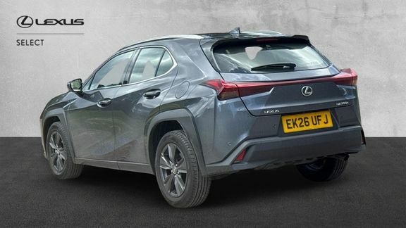 Lexus UX Premium Grey #4