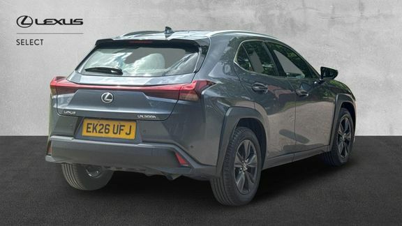 Lexus UX Premium Grey #2