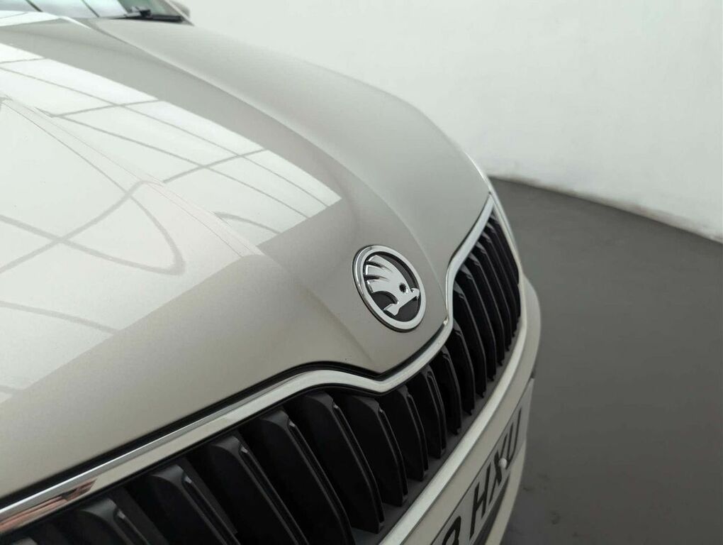 Skoda Fabia Hatchback Grey #13