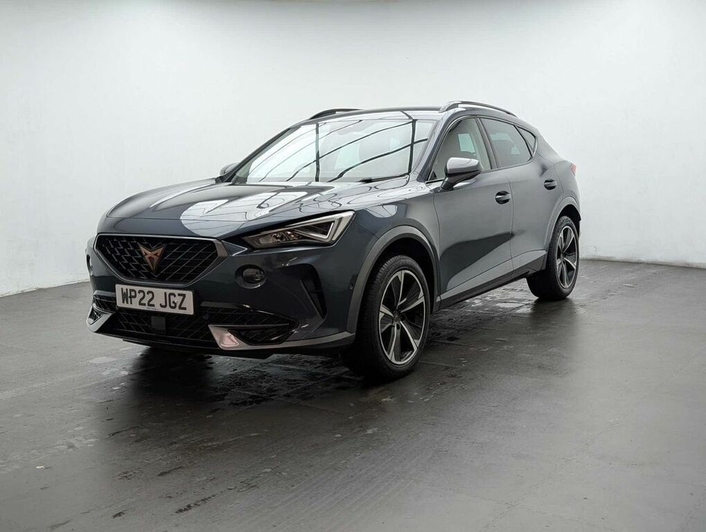 Cupra Formentor 1.5 Formentor V1 Tsi WP22JGZ Grey #4