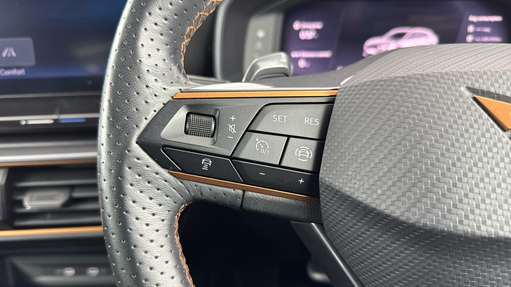 Cupra Formentor 1.5 Tsi 150 V2 Dsg Grey #33