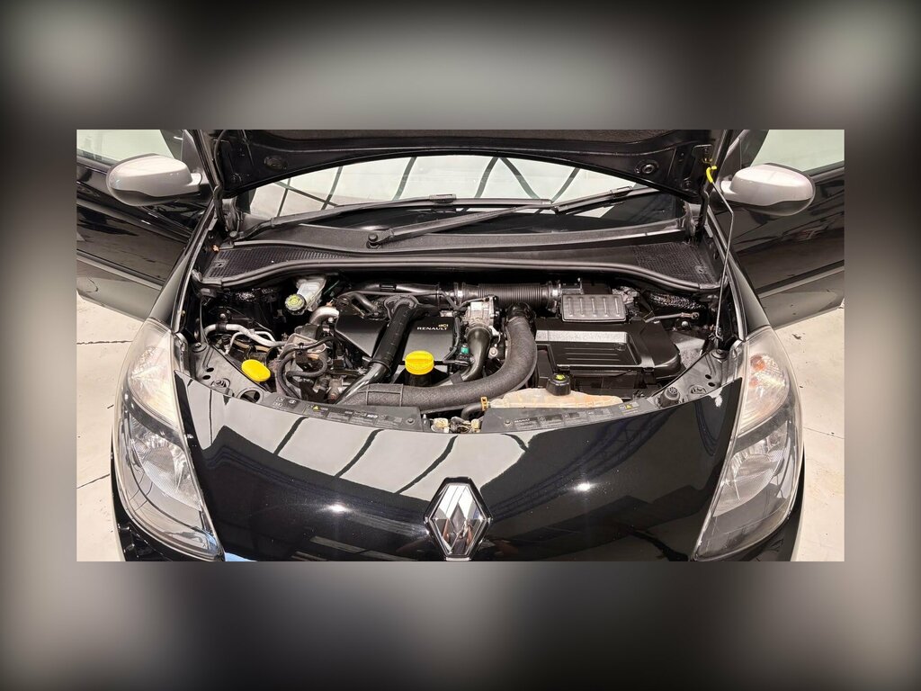 Renault Clio 2.0 Renaultsport Euro 5  #47