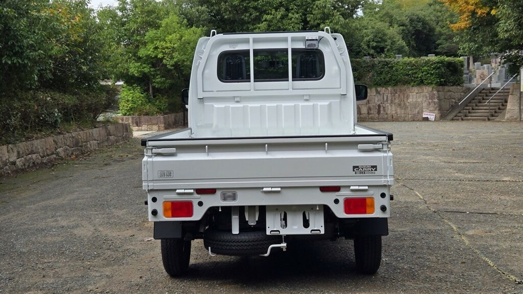 Suzuki Carry 4X4 Manuel White #2