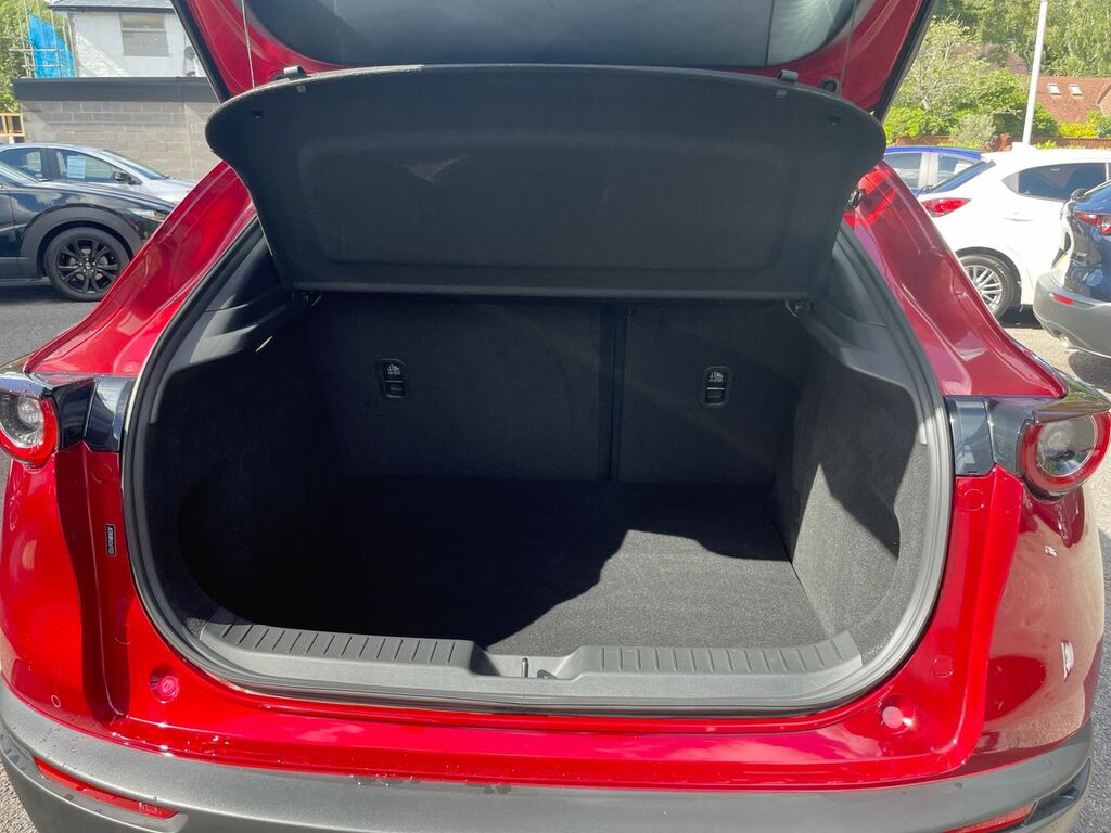 Mazda CX-30 2.0 E-skyactiv X Mhev Takumi  #22