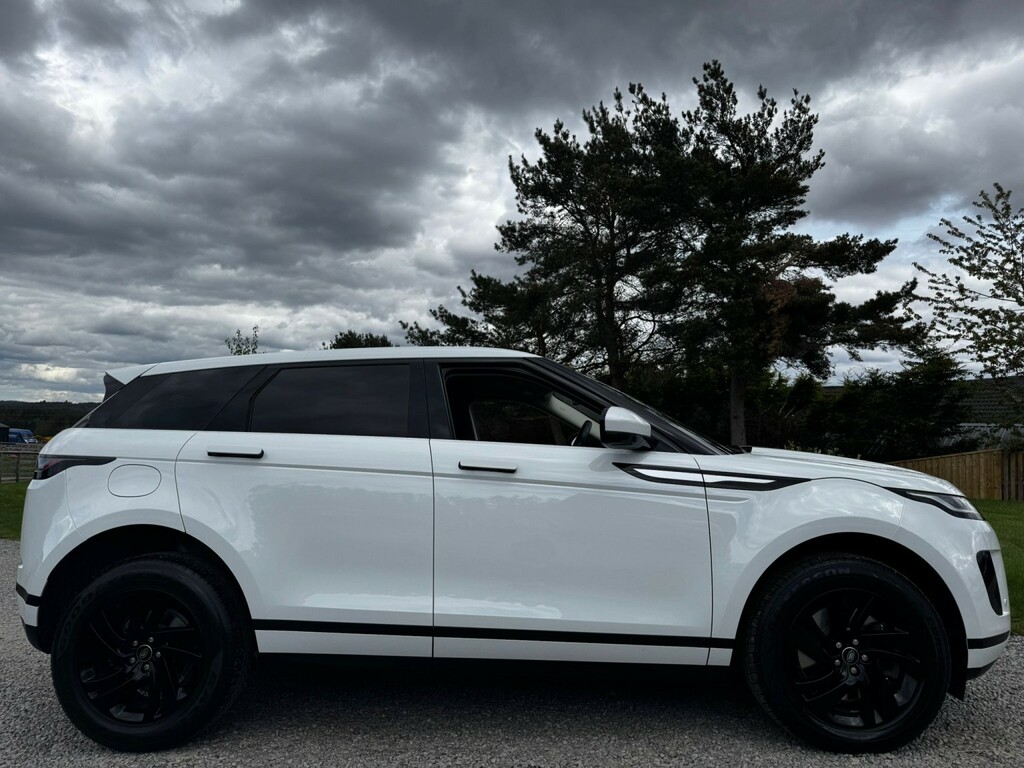 Land Rover Range Rover Evoque Suv 2.0 D165 2022 SV22LPX White #5