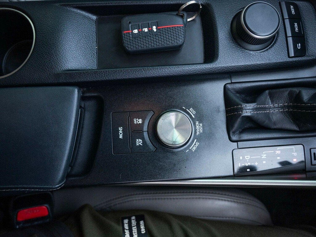 Lexus IS 250 Premier Silver #63