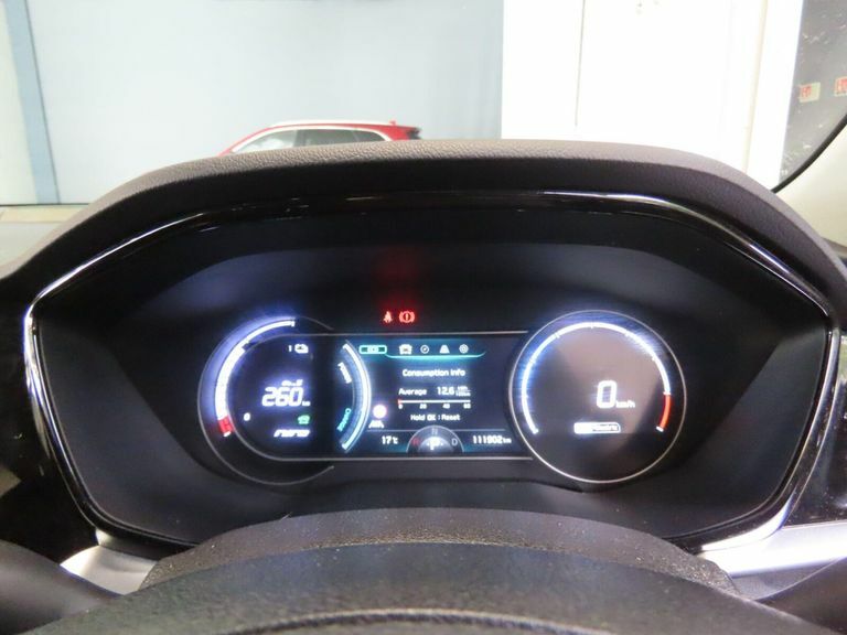 Kia e-Niro Suv Grey #12