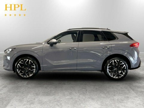Cupra Terramar 2025 25 2.0 #4