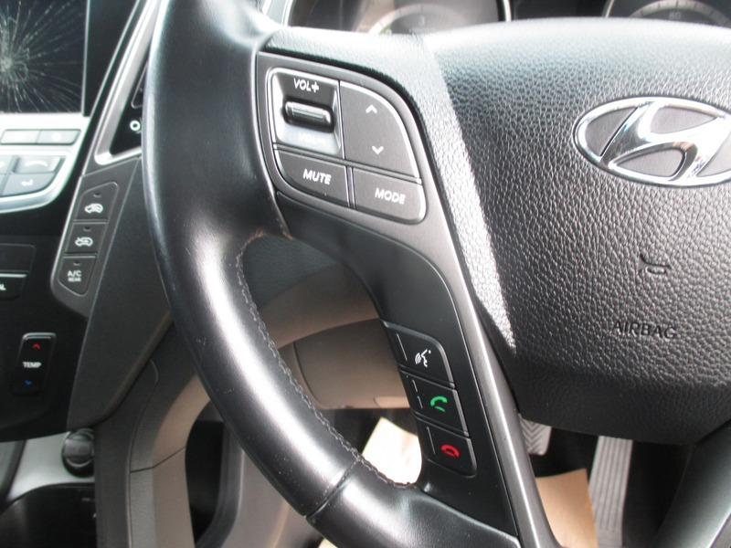 Hyundai Santa Fe Brown #34