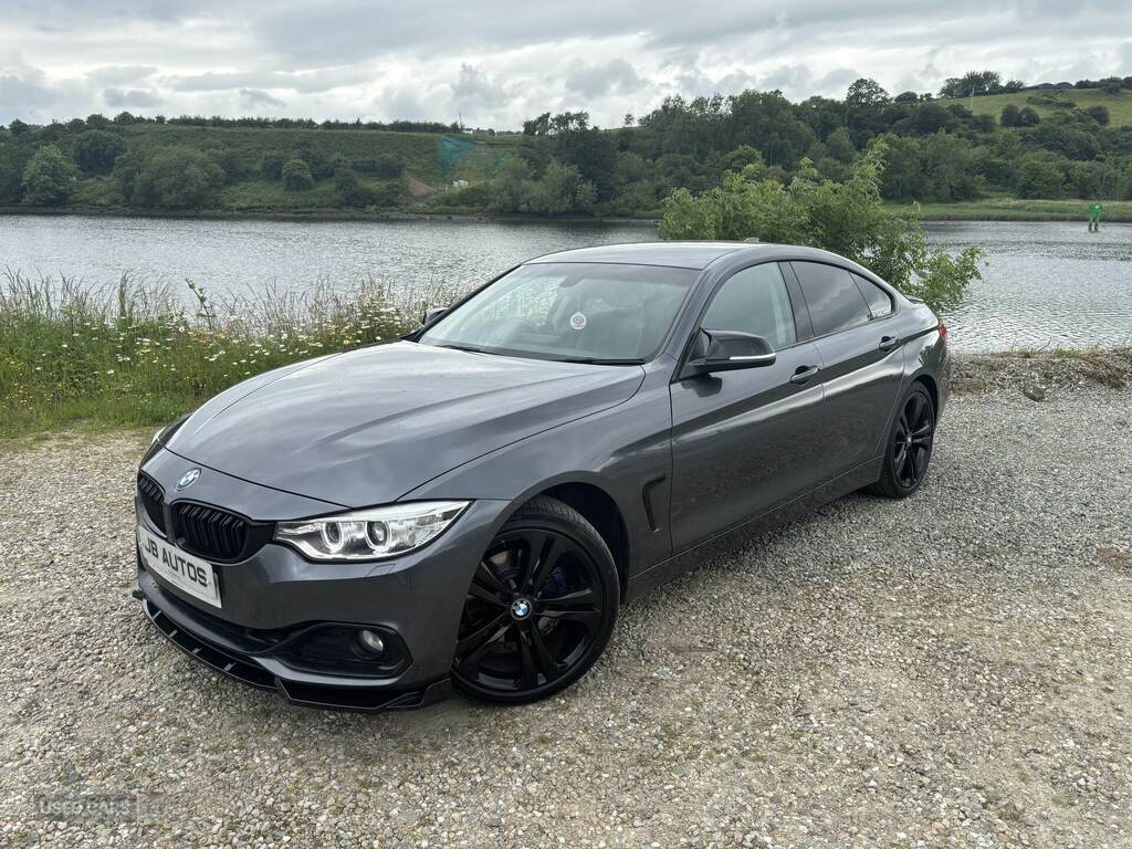BMW 4 Series 420D 190 Sport Business Media YB17ZGF Grey #2