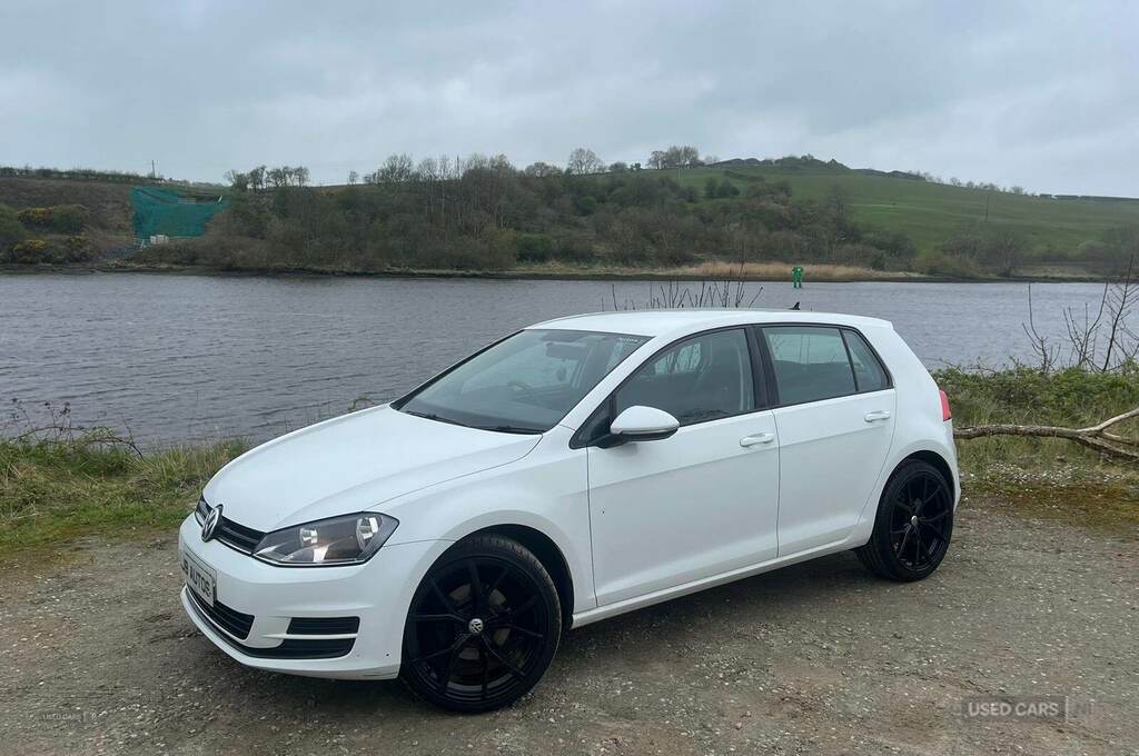 Volkswagen Golf 1.6 Tdi S GD17DDU White #2