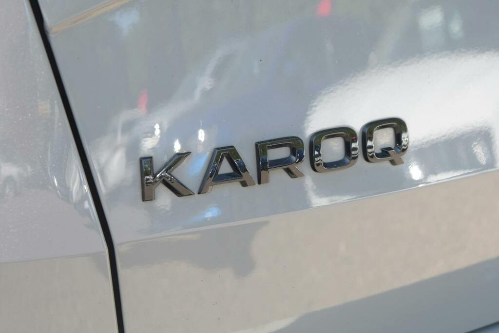 Skoda Karoq Se Technology Grey #39