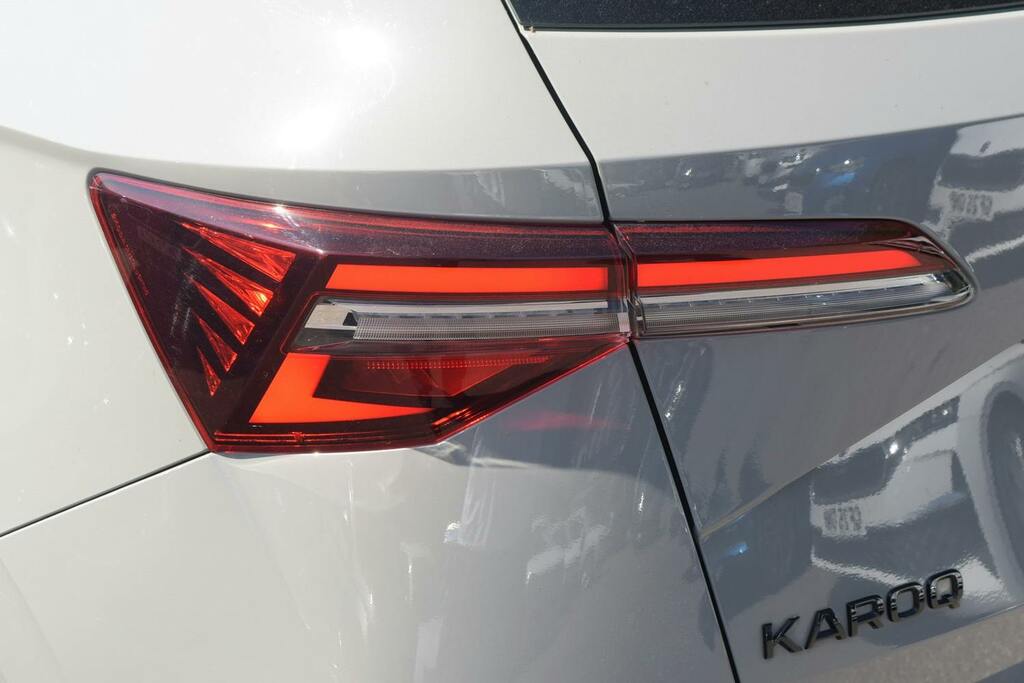 Skoda Karoq Se Technology Grey #32