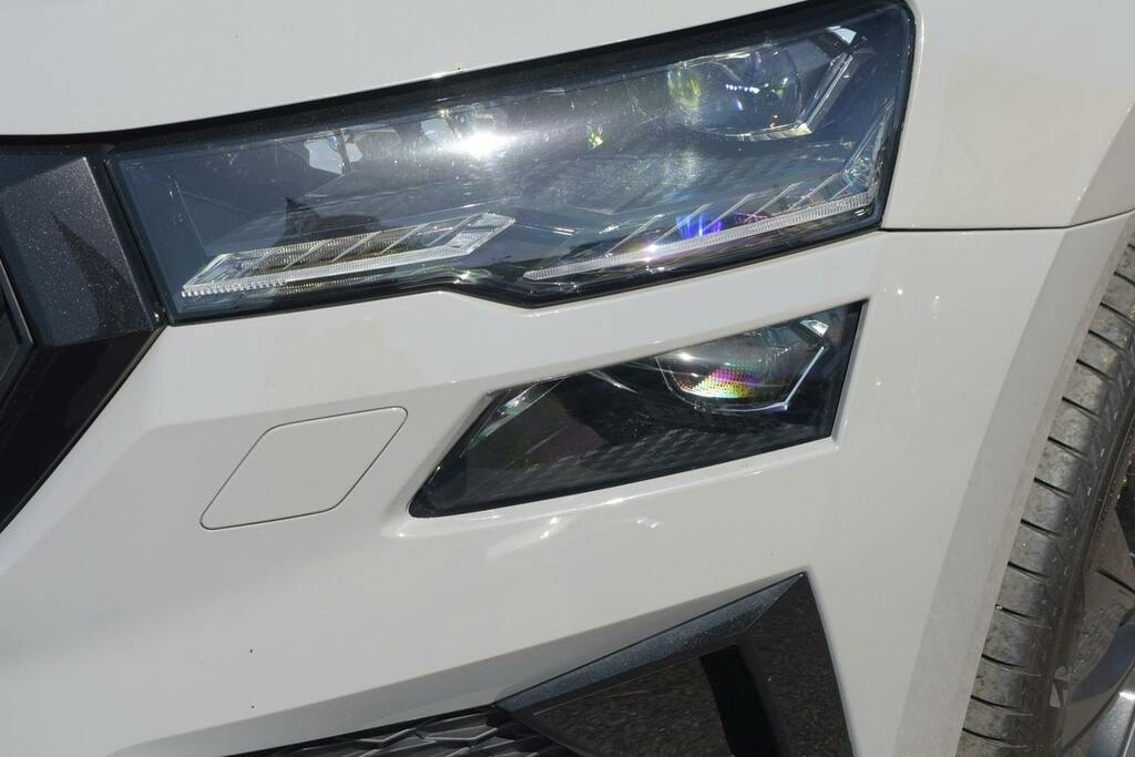 Skoda Karoq Se Technology Grey #33