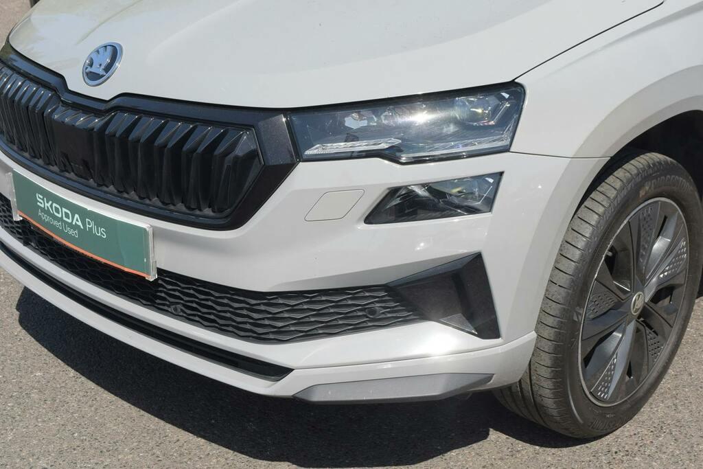Skoda Karoq Se Technology Grey #47