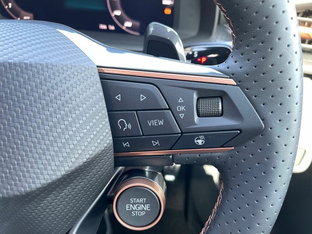 Cupra Terramar V2 1.5 Etsi 150 7-Speed Grey #17