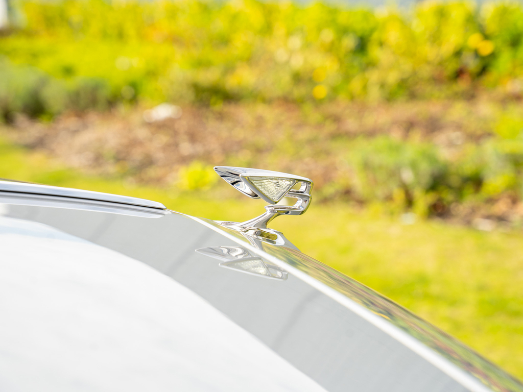 Bentley Flying Spur 4.0 V8 High-performance 25.9Kwh Saloon Blue #43