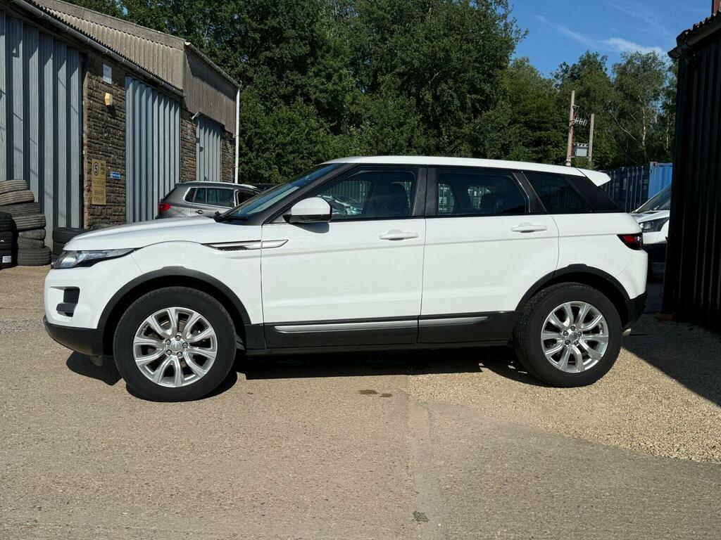 Land Rover Range Rover Evoque 2.2 Sd4 Pure Tech 4Wd Euro 5 Ss White #6