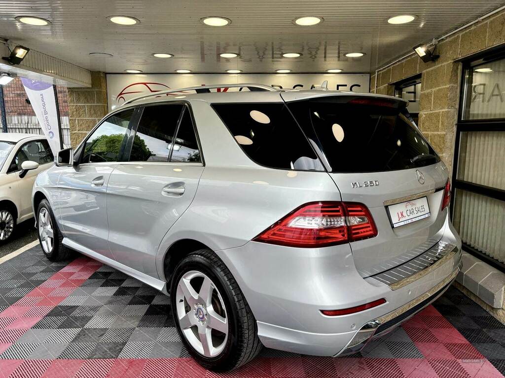 Mercedes-Benz M Class Ml250 Cdi Bluetec Sport Silver #4