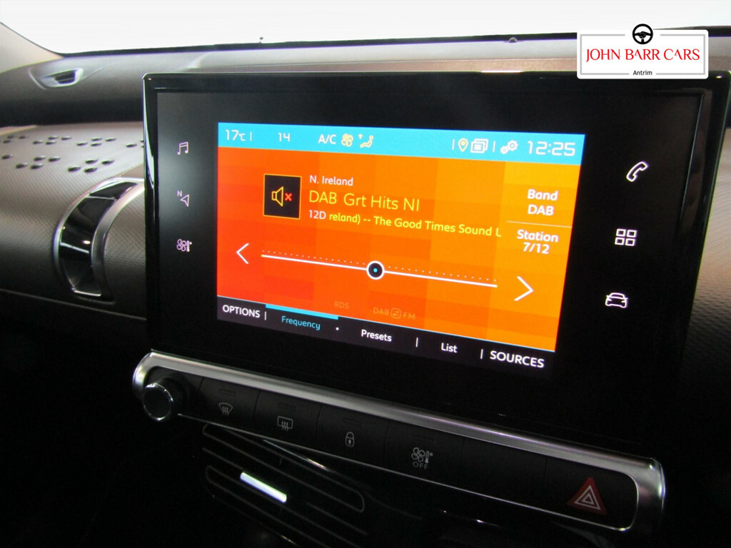 Citroen C4 Cactus 1.2 Puretech 130 Flair Eat6 Grey #15
