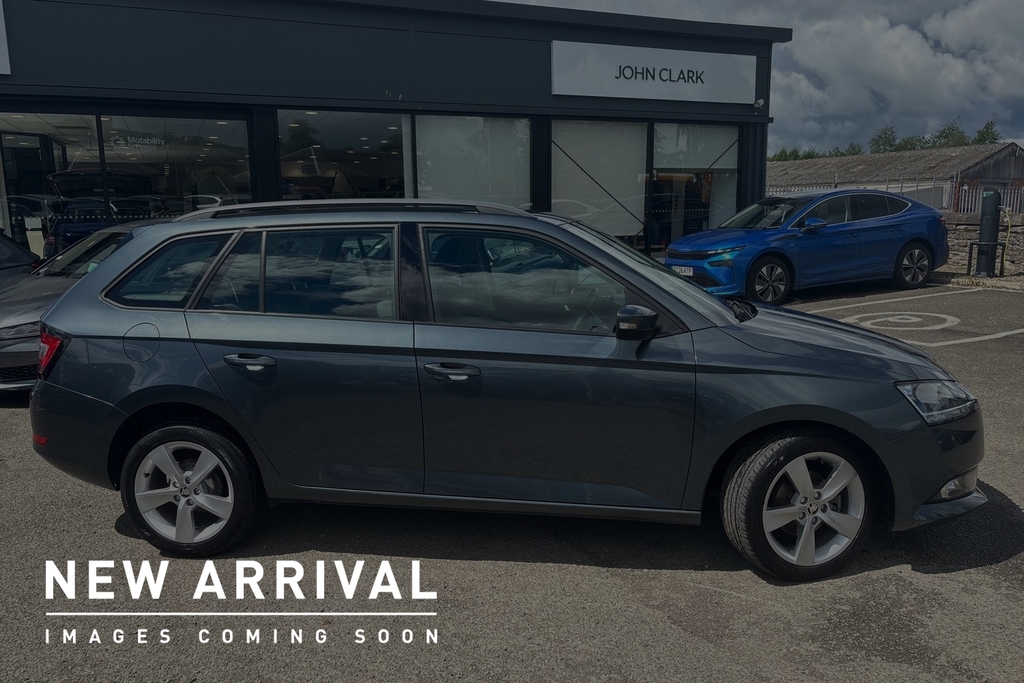 Skoda Fabia 1.0 Tsi Se L Grey #4