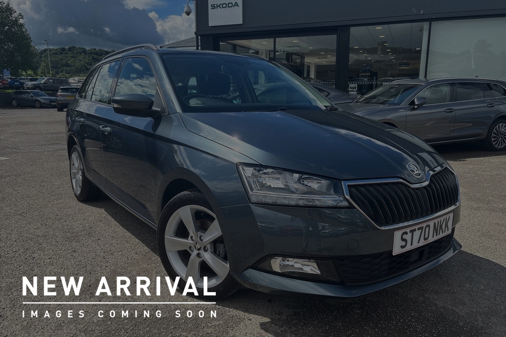 Skoda Fabia 1.0 Tsi Se L Grey