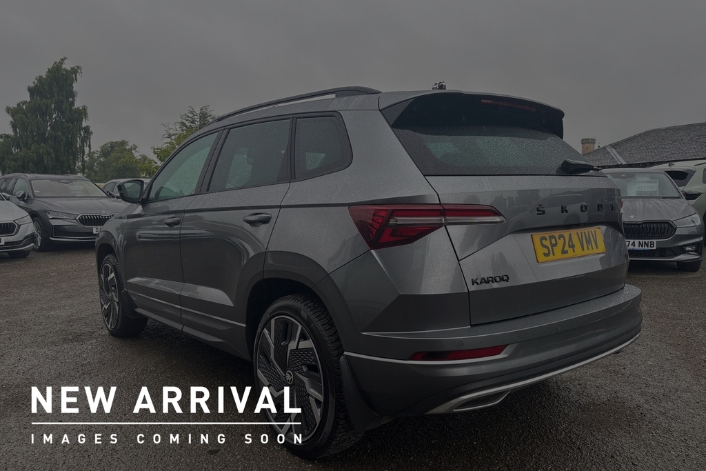 Skoda Karoq 2.0 Tsi Sportline 4X4 Dsg Grey #3