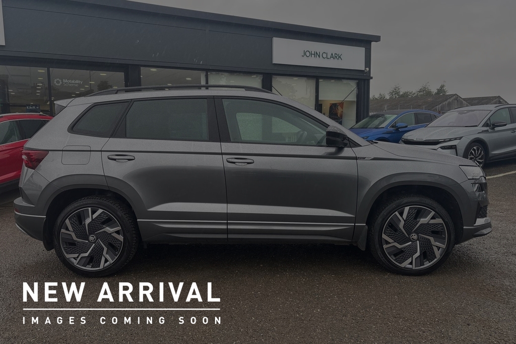 Skoda Karoq 2.0 Tsi Sportline 4X4 Dsg Grey #4