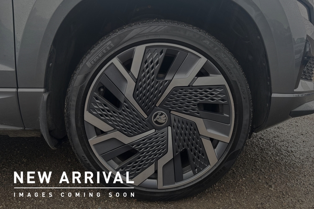 Skoda Karoq 2.0 Tsi Sportline 4X4 Dsg Grey #5