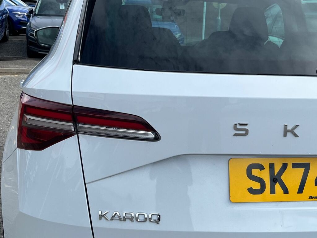 Skoda Karoq Se Drive Silver #19