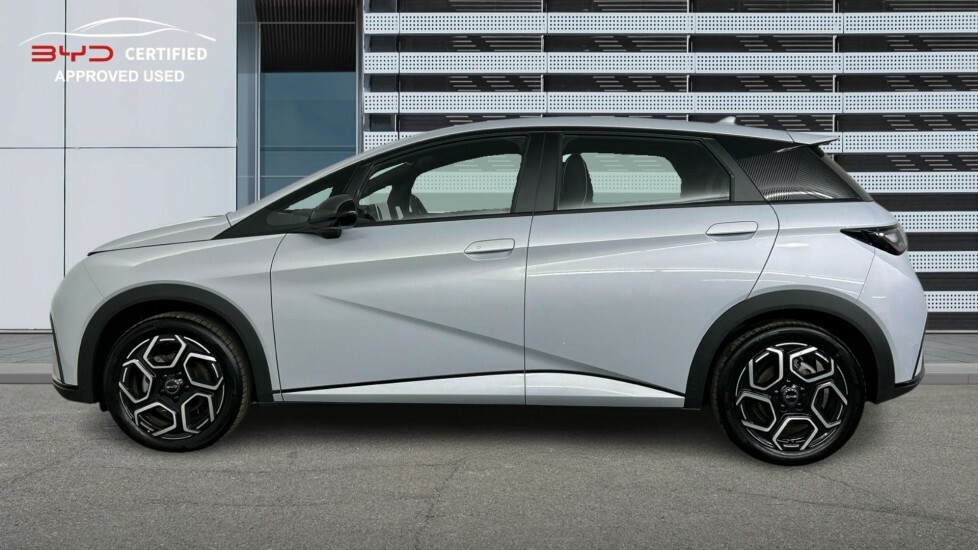 Byd Dolphin 30Kwh Active  #17