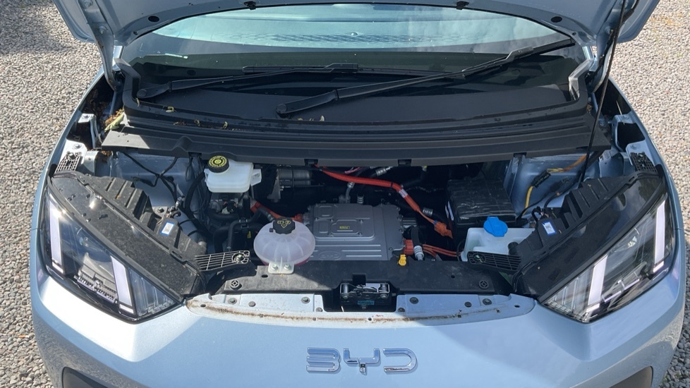 Byd Dolphin 65Kw Active 30Kwh White #21