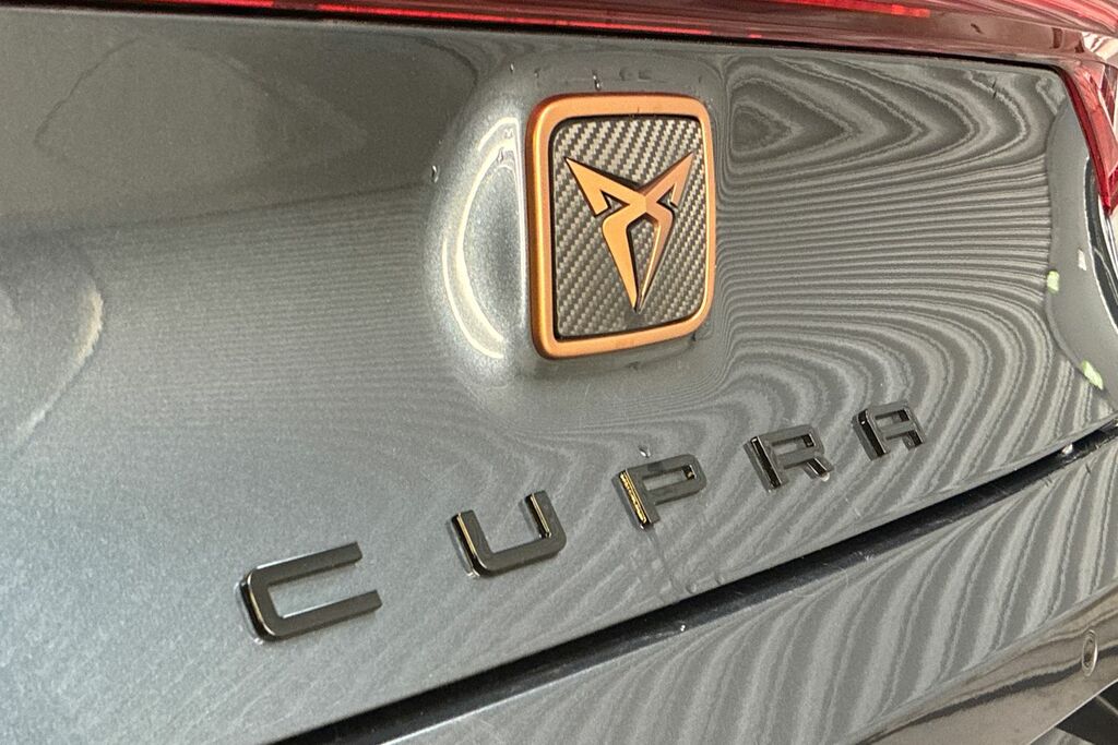 Cupra Leon 2.0 Tsi Vz1 Dsg Grey #20