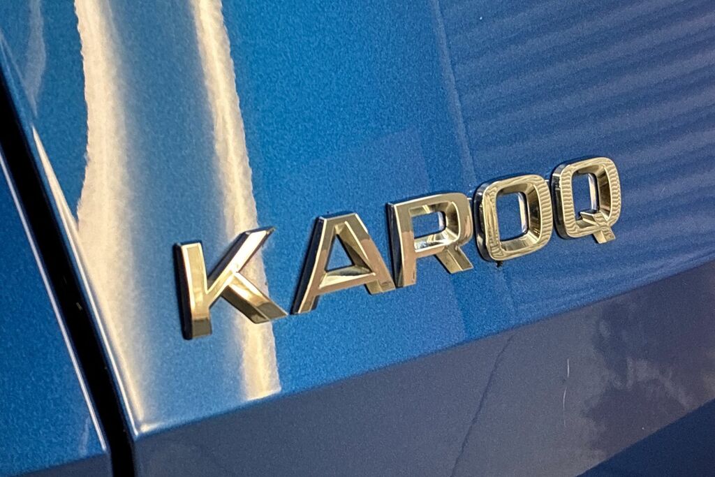 Skoda Karoq 1.6 Tdi Se Technology Silver #20