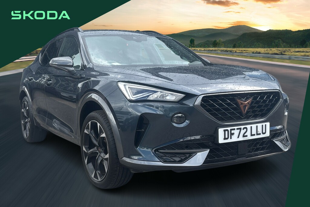Cupra Formentor 1.5 Tsi 150 V2 Dsg Grey
