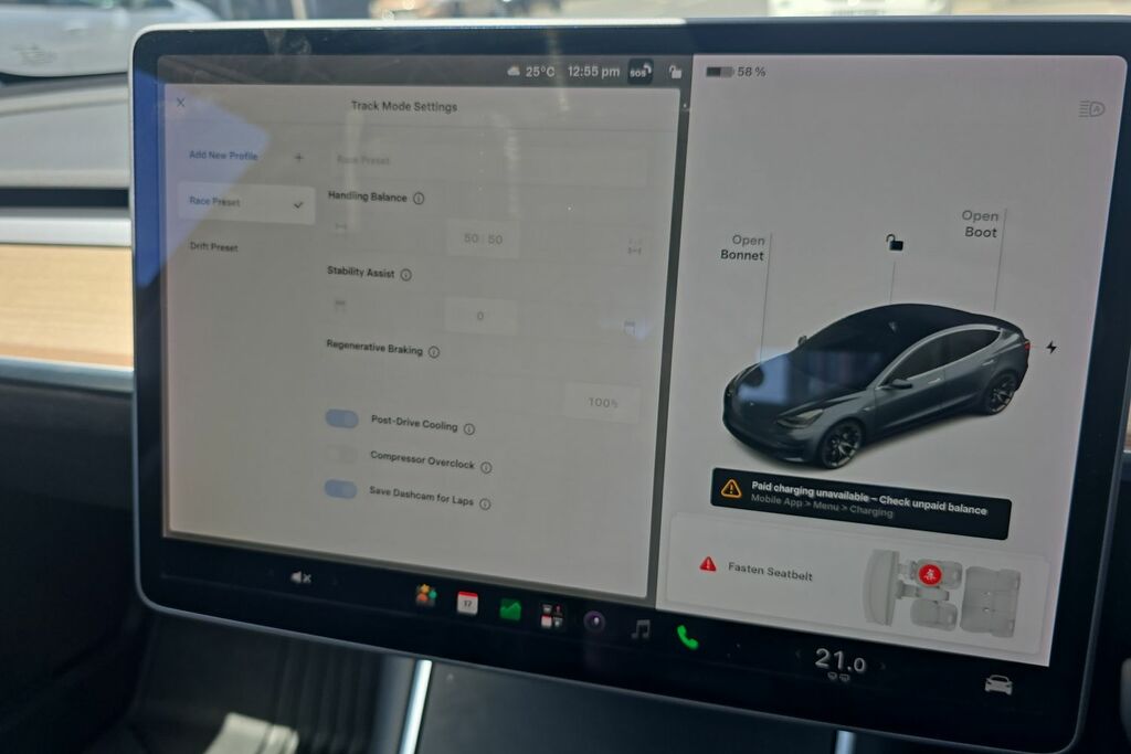 Tesla Model 3 Performance Awd Alloys, Pan-roof, Rev Grey #19