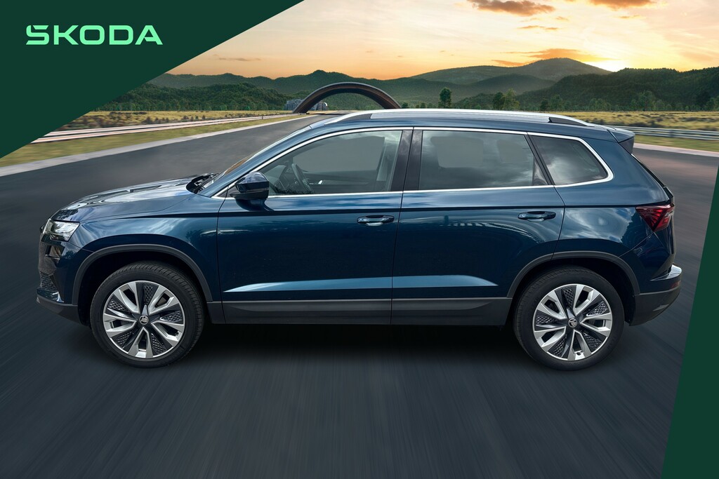 Skoda Karoq Se Drive Grey #13